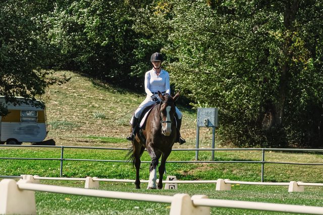 Équitation