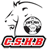 Chevigny St Sauveur Handball